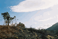 Rys 7: szkoc15.JPG 700 x 469 [59868 bajt�w]