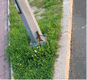 Rys 2: ludek2.jpg 550 x 504 [80244 bajt�w]