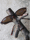 Rys 5: ludek5.JPG 338 x 450 [157848 bajt�w]