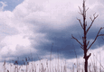 Rys 17: krut24.jpg 713 x 494 [78627 bajt�w]