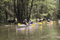 Rys 26: krut35.jpg 713 x 477 [178056 bajt�w]