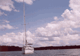 Rys 3: krut8.jpg 713 x 494 [73826 bajt�w]