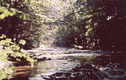 Rys 1: tanew4.jpg 700 x 446 [84838 bajt�w]