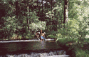 Rys 15: tanew6.jpg 700 x 448 [103152 bajt�w]