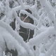 Rys 2: zw10.jpg 500 x 375 [23908 bajt�w]