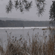 Rys 8: zw18.jpg 500 x 375 [33246 bajt�w]