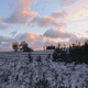 Rys 12: zw26.jpg 500 x 375 [28277 bajt�w]