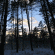 Rys 62: zw33.jpg 375 x 500 [47440 bajt�w]