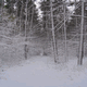 Rys 47: zw39.jpg 375 x 500 [40870 bajt�w]