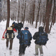 Rys 48: zw40.jpg 375 x 500 [39400 bajt�w]