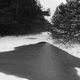 Rys 49: zw43.jpg 375 x 500 [28415 bajt�w]