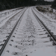 Rys 50: zw44.jpg 375 x 500 [34439 bajt�w]