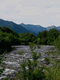 Rys 54: bajk27.jpg [45290 bajt�w]