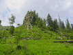 Rys 16: bajk30.jpg [46126 bajt�w]