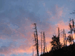 Rys 17: bajk32.jpg [29638 bajt�w]