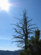 Rys 58: bajk35.jpg [62985 bajt�w]