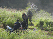Rys 21: bajk37.jpg [79872 bajt�w]