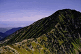 Rys 32: bajk48.jpg [47540 bajt�w]