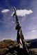 Rys 59: bajk50.jpg [33491 bajt�w]